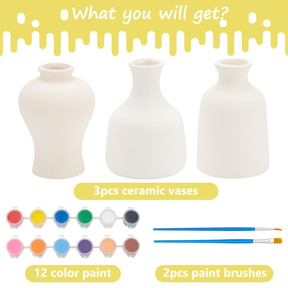 Amazon.com: WEBEEDY 3 Styles Vase Pottery Painting Kit Paint Your